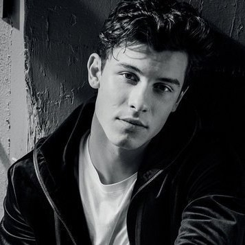 Shawn Mendes 2