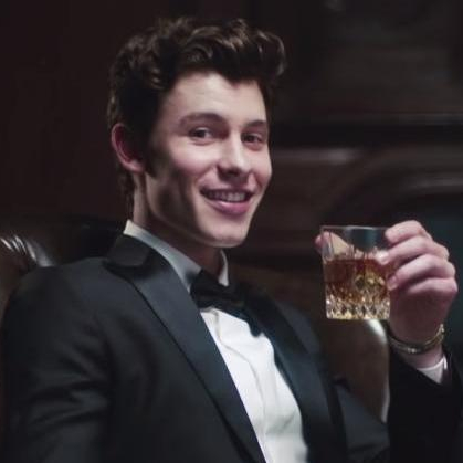Shawn Mendes 3