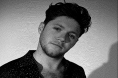 Niall Horan 2